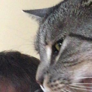 Meet your Posher, William